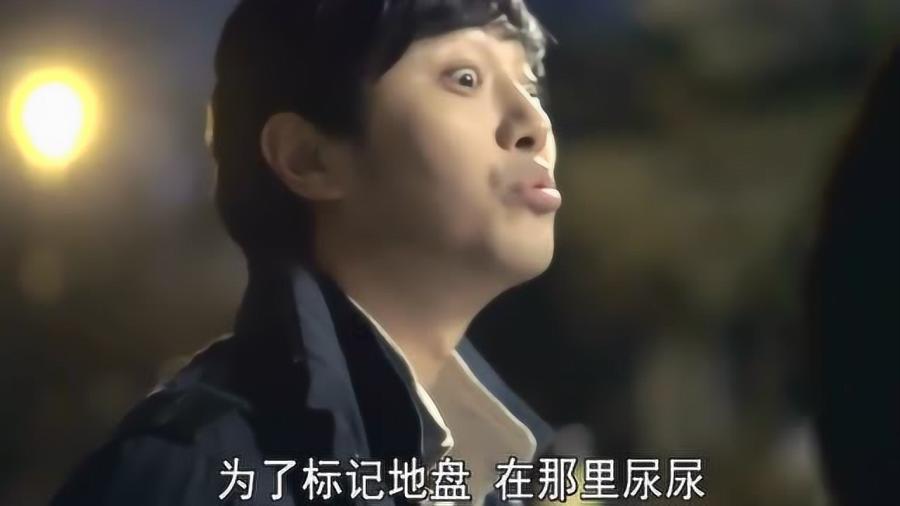 hahabet官网官方入口