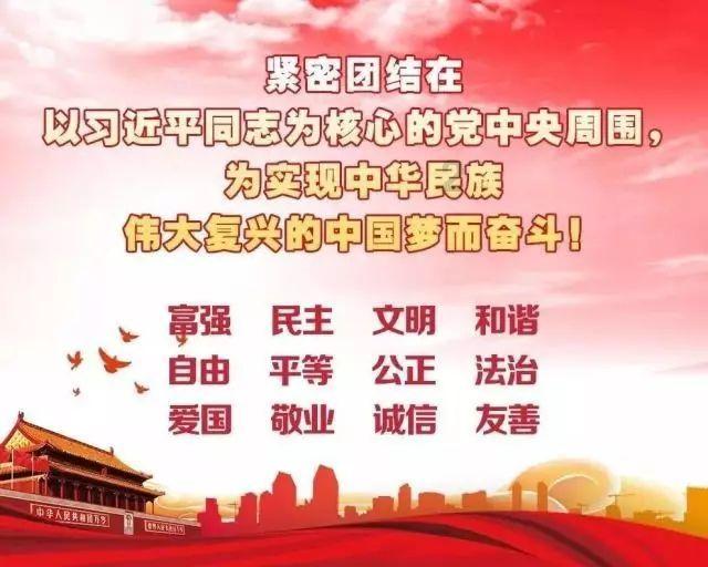 88影视