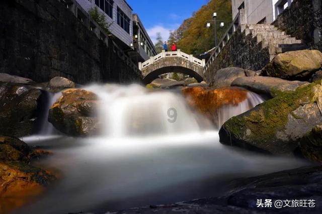 春雨直播app