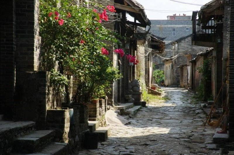 动物帮帮忙保卫家园